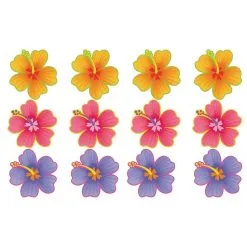 Hibiscus Cutouts 12ct