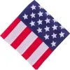 American Flag Bandana