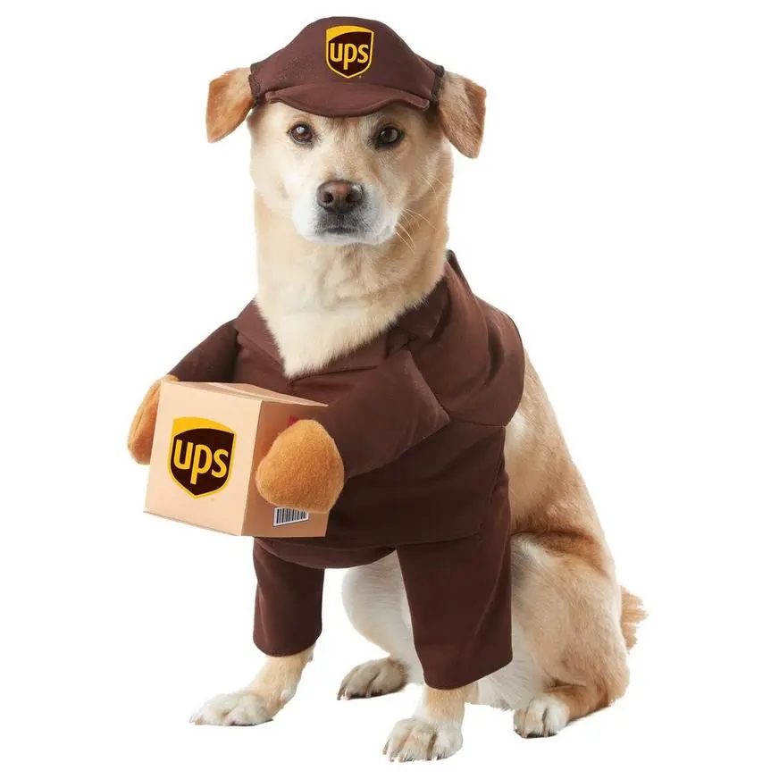 UPS Driver Dog Costume