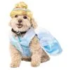 Cinderella Dog Costume