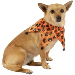 Halloween Pumpkin Jester Collar For Dogs