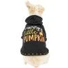 Party City Mommy's Little Pumpkin Dog Hoodie